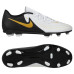 Бутсы Nike PHANTOM GX Club  FG fj2557-100